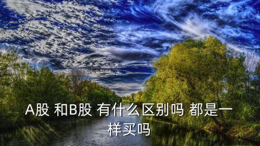 A股 和B股 有什么區(qū)別嗎 都是一樣買嗎