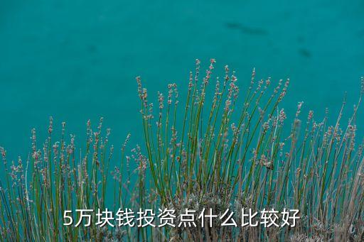 五萬(wàn)投資什么好，5萬(wàn)元投資什么項(xiàng)目好