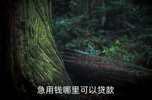 急用錢哪里可以貸款