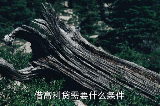 借高利貸需要什么手續(xù)，借高利貸需要什么條件