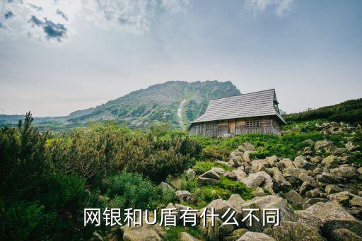 網(wǎng)銀和U盾有什么不同