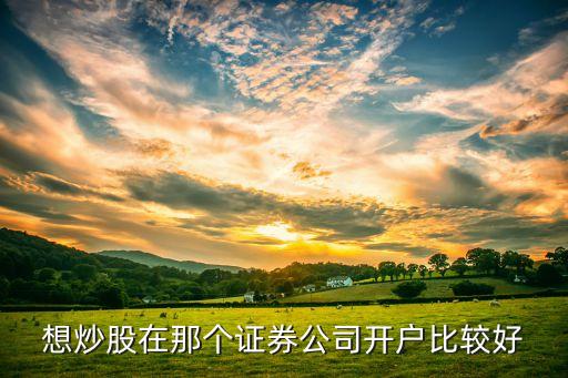 想炒股在那個證券公司開戶比較好