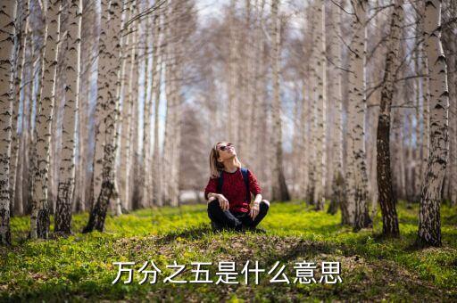 萬分之五是什么意思