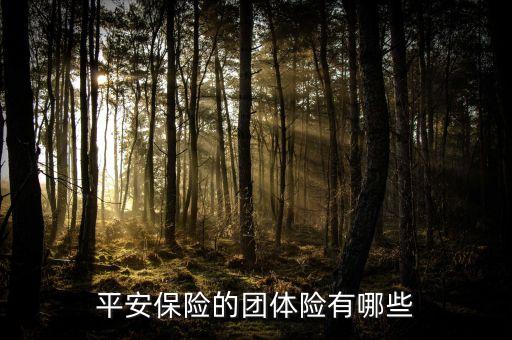 平安保險(xiǎn)的團(tuán)體險(xiǎn)有哪些
