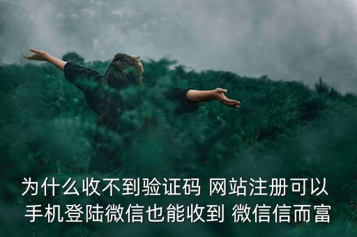 為什么收不到驗證碼 網(wǎng)站注冊可以 手機登陸微信也能收到 微信信而富