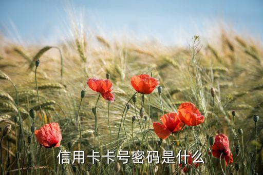 信用卡卡號和密碼是什么，卡密碼和卡序列號是什么