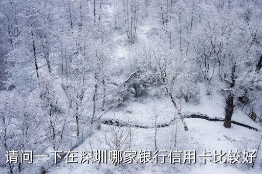 請(qǐng)問一下在深圳哪家銀行信用卡比較好