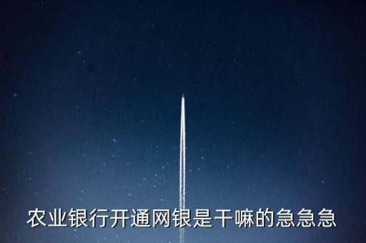 農(nóng)業(yè)銀行開通網(wǎng)銀是干嘛的急急急
