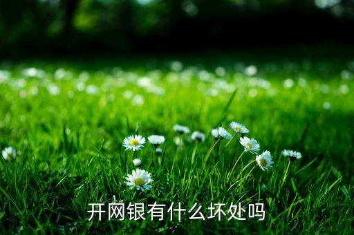 網(wǎng)銀開(kāi)通什么影響，開(kāi)通網(wǎng)銀有什么壞處