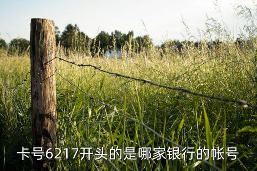 6217開頭是什么銀行，卡號6217開頭的是哪家銀行的帳號