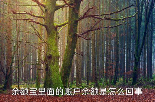 余額寶里面的賬戶余額是怎么回事