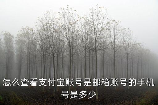 手機支付寶賬號是郵箱賬號是什么號碼，怎么查看支付寶賬號是郵箱賬號的手機號是多少