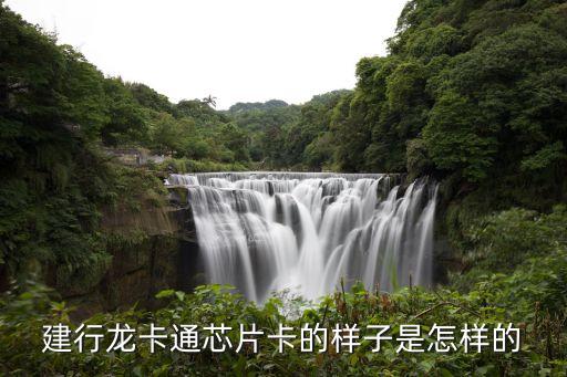 芯片卡什么樣子，怎樣知道自己的卡是芯片卡