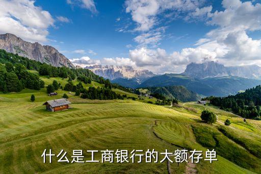 什么是工商銀行的大額存單
