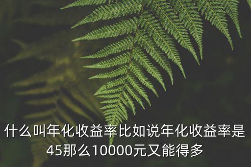 什么叫年化收益率比如說年化收益率是45那么10000元又能得多