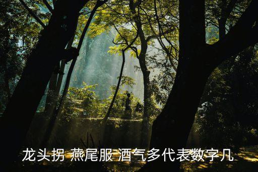 龍頭代表什么數(shù)字，鑄鐵自來水龍頭上面標有數(shù)字15表示什么