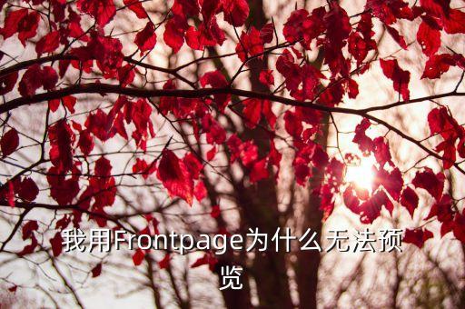 我用Frontpage為什么無(wú)法預(yù)覽
