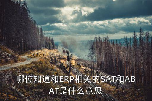平安sat戰(zhàn)略是什么意思，手表sat什么意思