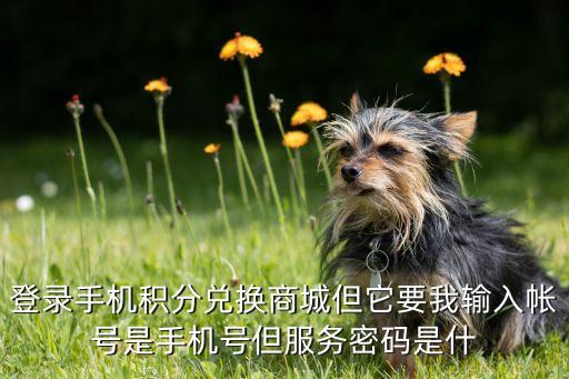 廣發(fā)銀行積分商城密碼是什么意思，什么叫做商城密碼