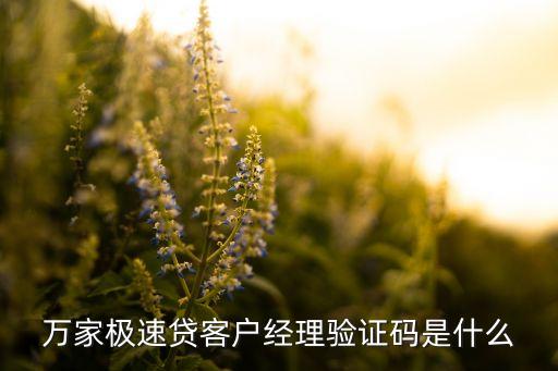 快貸極速借款什么驗(yàn)證碼，萬(wàn)家極速貸客戶(hù)經(jīng)理驗(yàn)證碼是什么