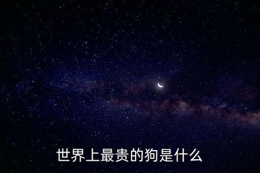 世界上最貴的狗是什么