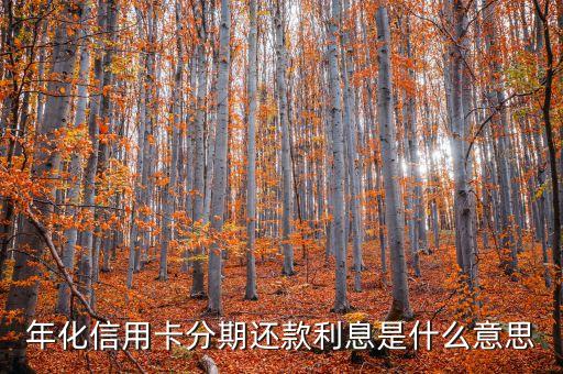 年化信用卡分期還款利息是什么意思
