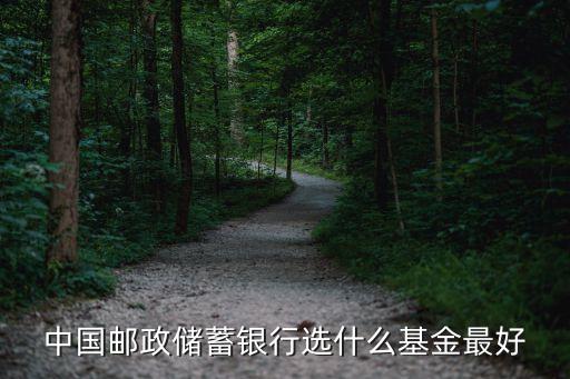 郵政銀行買什么基金好，近期在郵政儲蓄定投哪支基金比較好