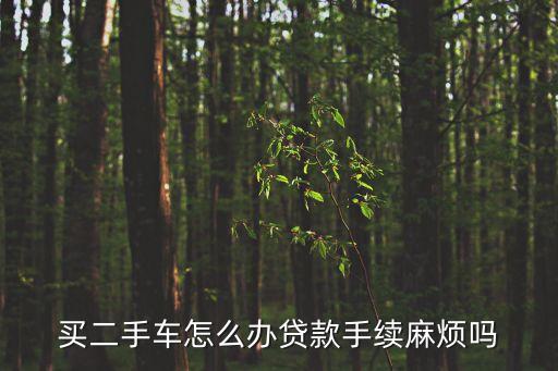 買二手車怎么辦貸款手續(xù)麻煩嗎