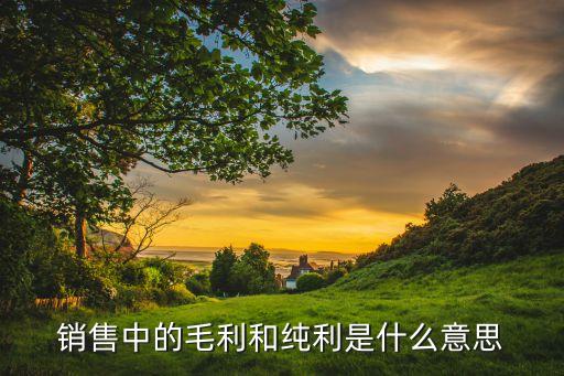 銷(xiāo)售中的毛利和純利是什么意思