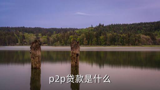 p2p線上辦理什么意思，p2p貸款是什么
