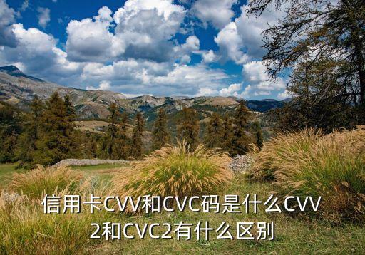 建行安全碼16位是什么樣的，建行信用卡激活安全碼