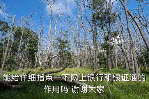 能給詳細(xì)指點(diǎn)一下網(wǎng)上銀行和銀證通的作用嗎 謝謝大家
