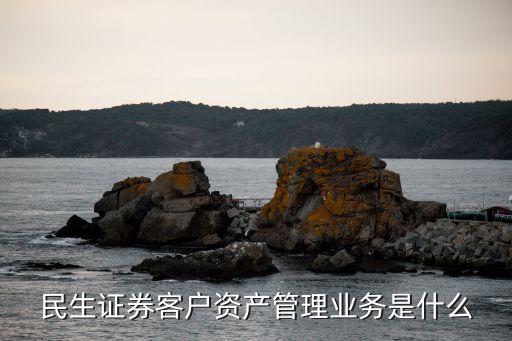 民生托管賬戶是什么，民生證券客戶資產(chǎn)管理業(yè)務(wù)是什么
