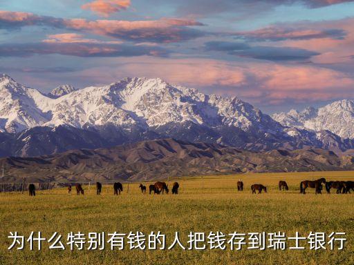 瑞士銀行為什么安全，為什么瑞士銀行是全世界保險度最高的銀行