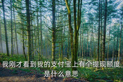 我剛才看到我的支付寶上有個提現(xiàn)額度是什么意思