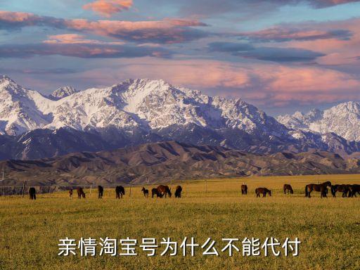 為什么不能代付，親情淘寶號為什么不能代付