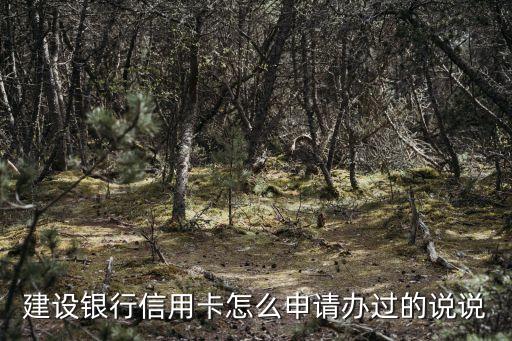 信用卡2017需要什么，2017年每個(gè)人都可以申請(qǐng)信用卡嗎