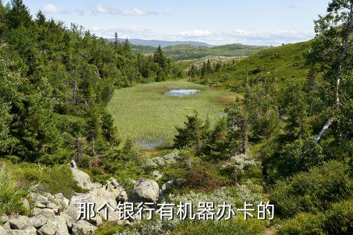 什么銀行有自助辦卡機(jī)，中國銀行有沒有自助辦卡的機(jī)器