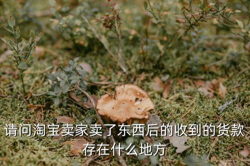 淘寶店貨款到什么地方，淘寶網(wǎng) 賣家出售物品后貨款是打入哪里了
