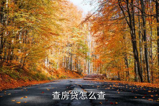 房屋貸款征信怎么查詢系統(tǒng)，查房貸怎么查