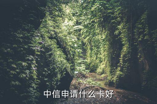 中信申請(qǐng)什么卡，中信銀行信用卡中心一般申請(qǐng)什么卡