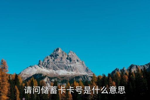 請問儲蓄卡卡號是什么意思