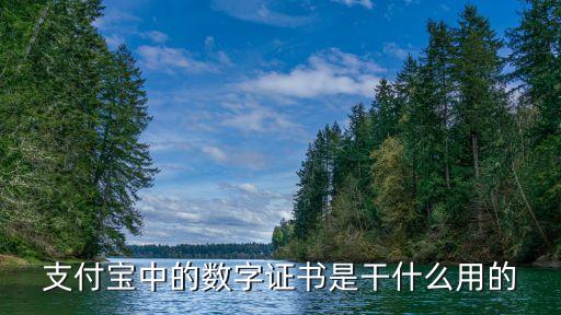 余額寶數(shù)字證書是什么，支付寶數(shù)字證書是什么東東