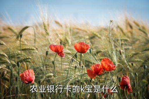 農(nóng)業(yè)銀行卡的k寶是什么