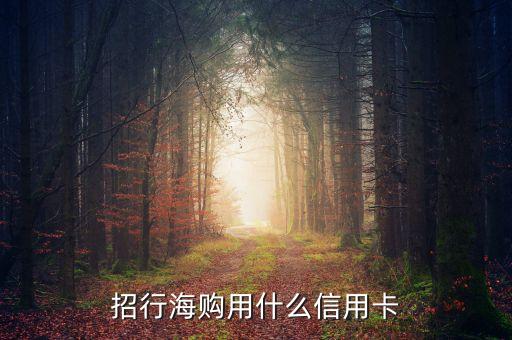 海外購物用什么信用卡嗎，海淘辦什么信用卡比較好