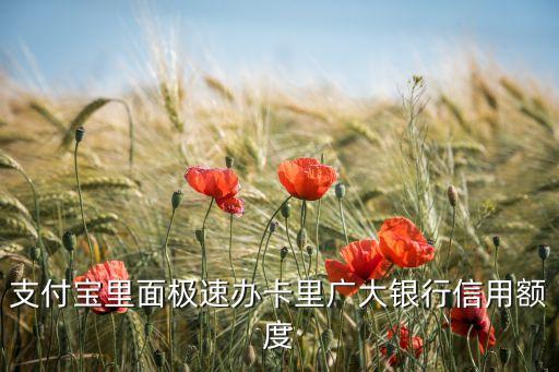 支付寶里面極速辦卡里廣大銀行信用額度