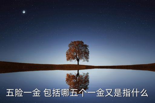 5險一金包括什么，五險一金 包括哪五個一金又是指什么