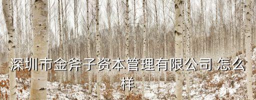 深圳市金斧子資本管理有限公司 怎么樣