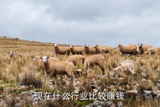 現(xiàn)在什么行業(yè)比較賺錢