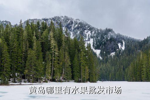 扒山市場都賣什么，黃島哪里有水果批發(fā)市場
